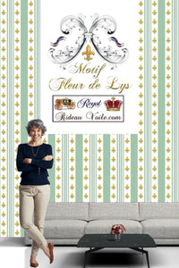 Tissu décoration ameublement héraldique Fleur de Lys rayures rayés tapisserie Paris Versailles