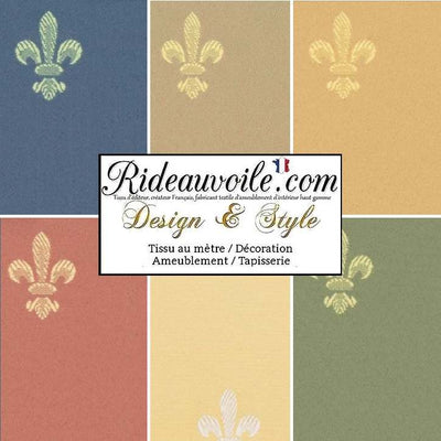 Tissu ameublement broderie Fleur de lys rayures style vert Empire architecte intérieur