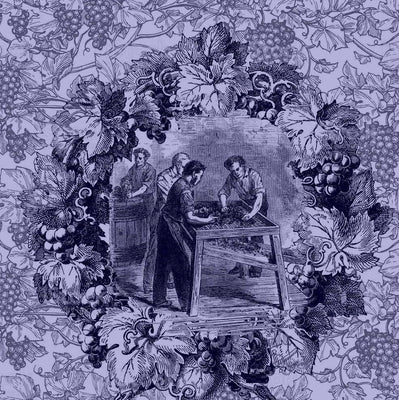 Tapisserie Toile de Jouy et tissu au mètre décoration rideau couette coussin